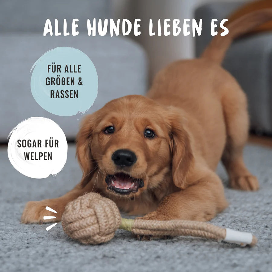 SEILSPIELZEUG (3ER SET)
Robust und reißfest bei jeder Runde