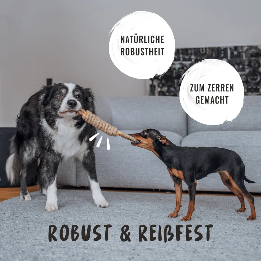 SEILSPIELZEUG (3ER SET)
Robust und reißfest bei jeder Runde