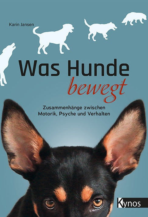 Was Hunde bewegt