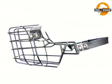 SF Drahtmaulkorb schwarz Border Collie Rüde