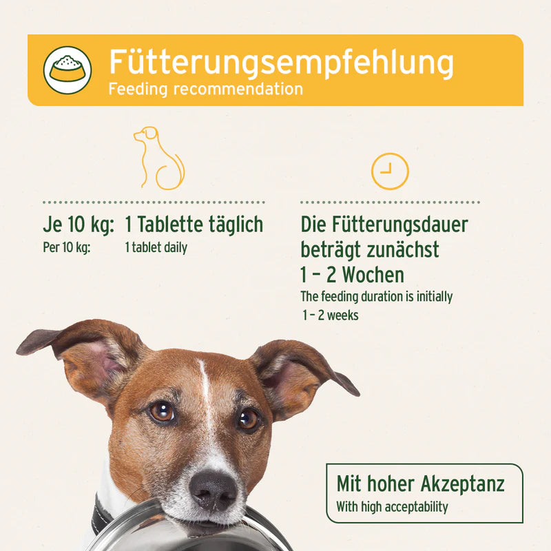 AniForte® plus Magen & Darm