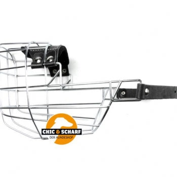 CHOPO Drahtmaulkorb Ridgeback Hündin