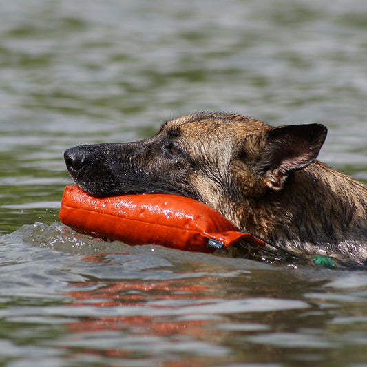 ROMNEYS Standard Dummy, 500g