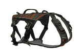 NonStop Rock Harness Long / Sicherheits-Führgeschirr