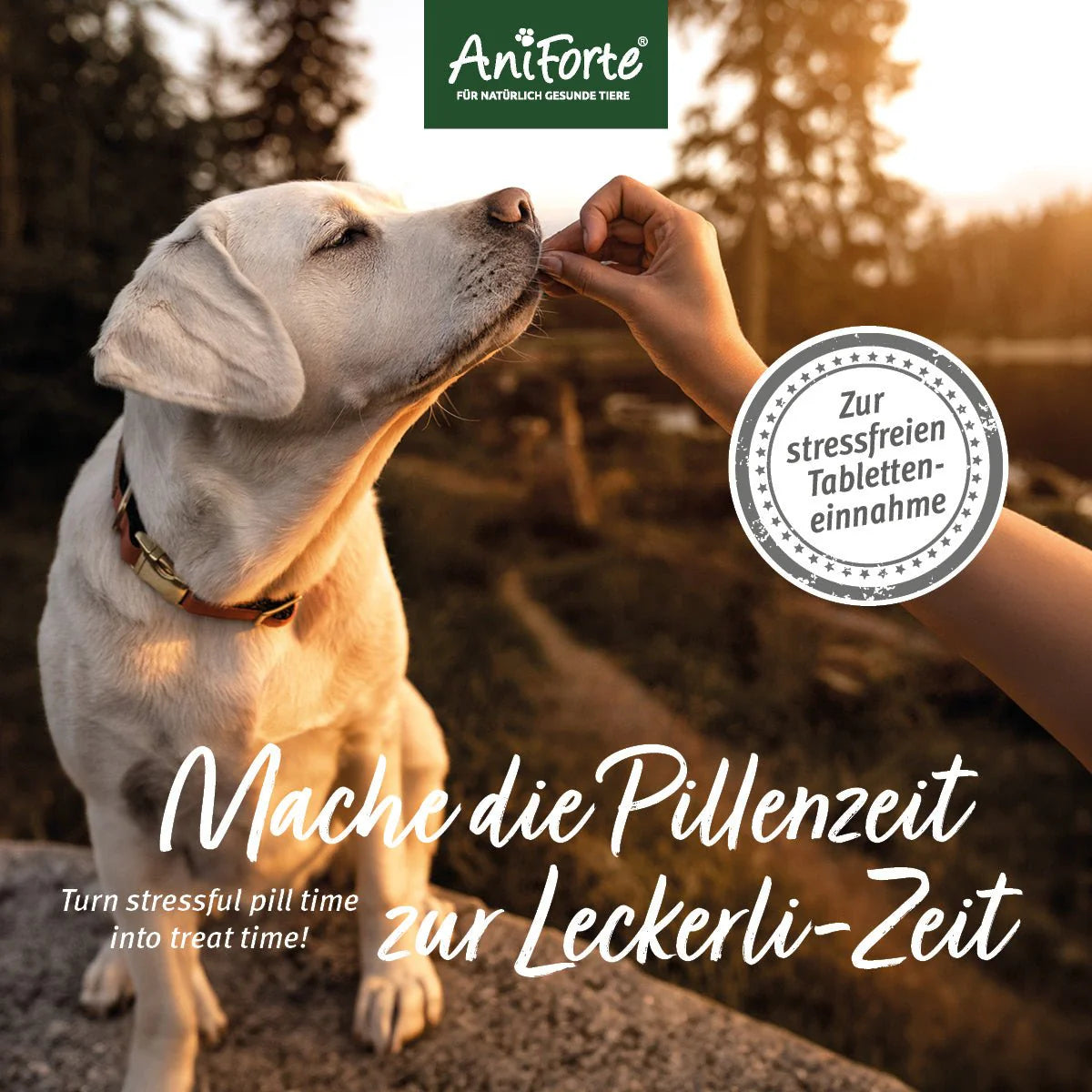 AniForte® Versteckerli das Leckerli für Medikamente