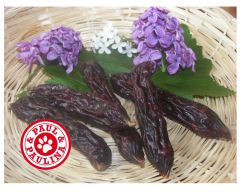 Paul und Paulina "Wilde Beere" getrocknete Wildwurst mit schwarzer Johannisbeere 500 Gramm
