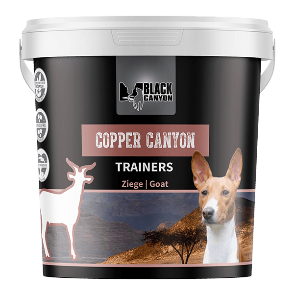 Black Canyon Trainers Copper Canyon | Ziege
