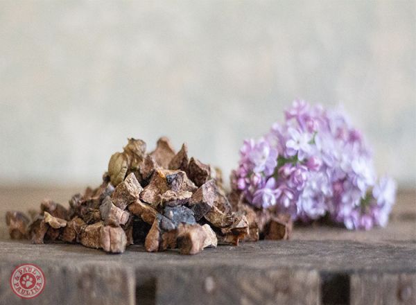 Paul & Paulina "Fit & Fun Snack" Kauartikelmix