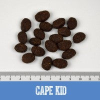 BLACK CANYON "Cape Kid" Puppy large