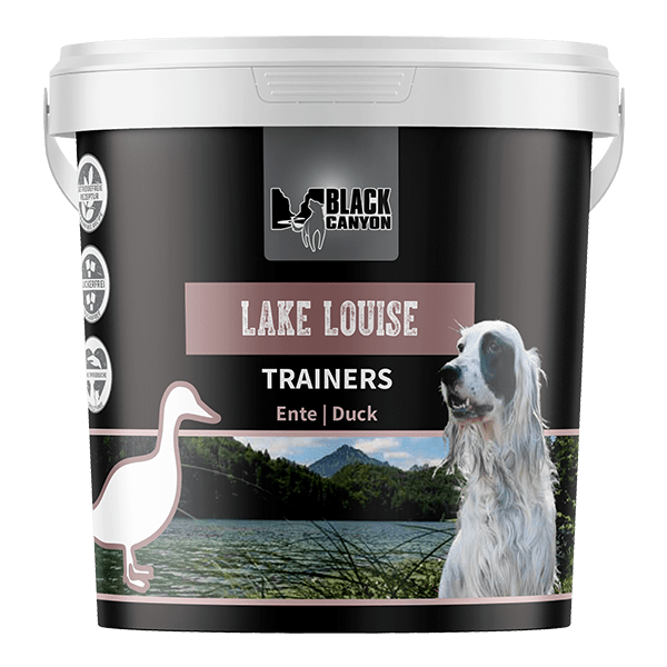 Black Canyon Trainers Lake Louise | ENTE