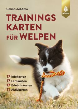 Trainingskarten für Welpen