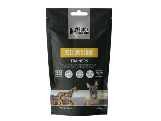 Black Canyon Trainers Yellowstone | Pferd