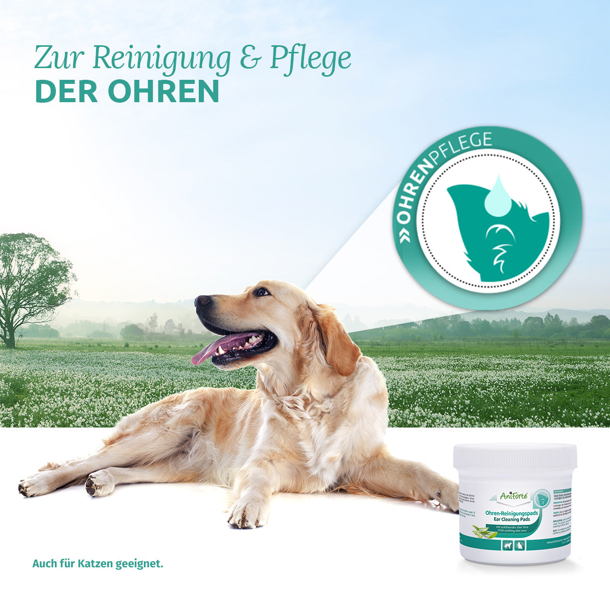 AniForte® Ohren-Reinigungspads