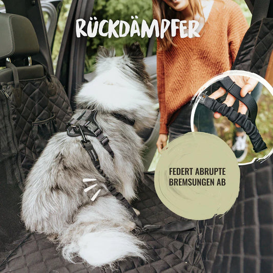 Rudelkönig Sicherheitsgurt für Hunde im Auto