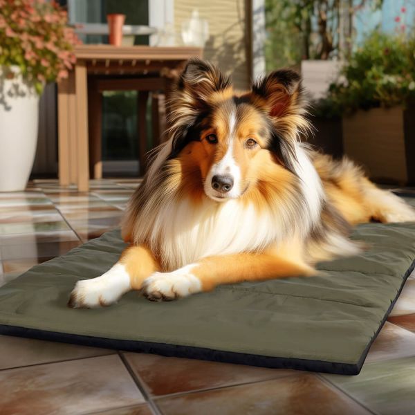 Romneys Explorer Mat - Hundedecke Outdoor