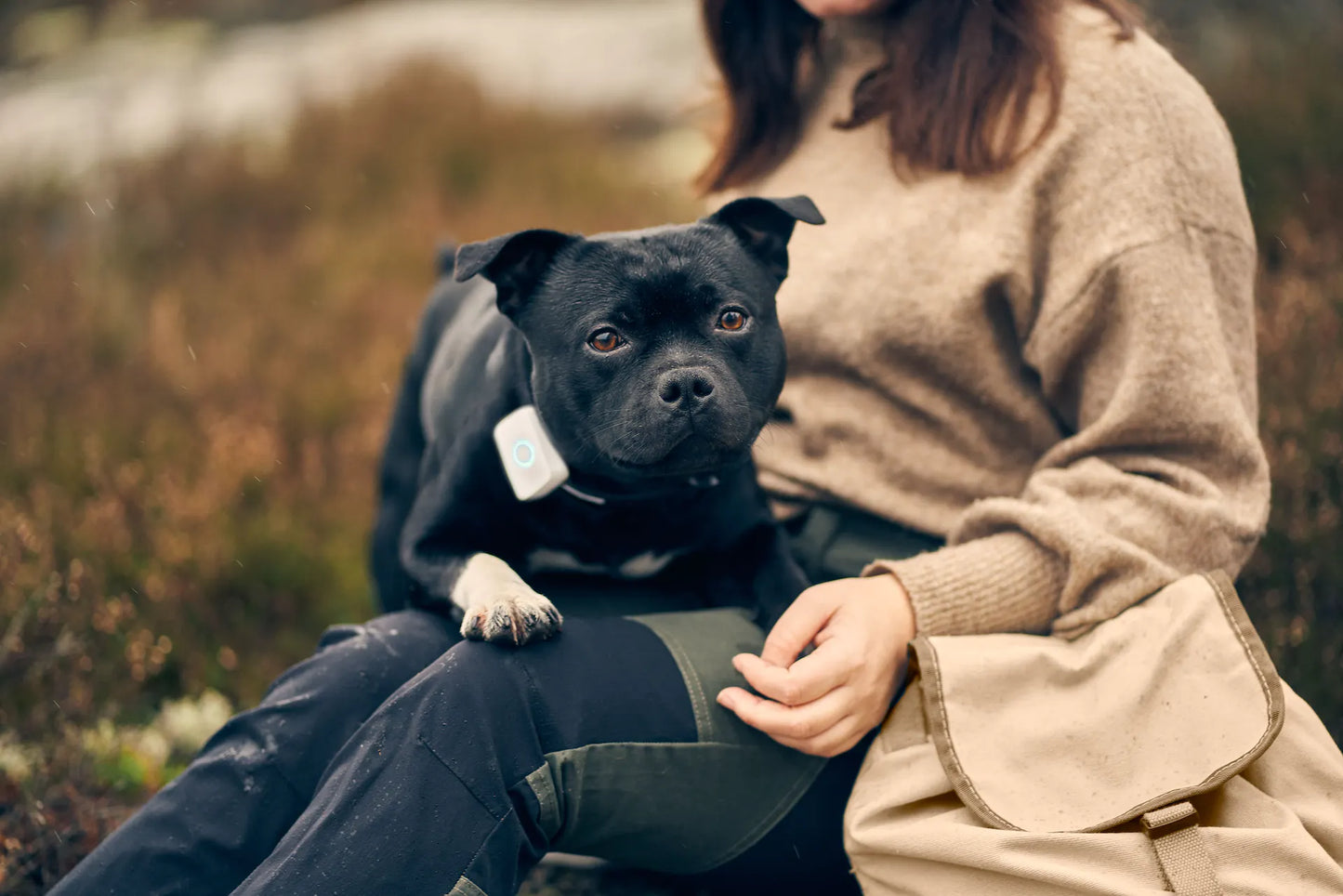 lildog GPS-Tracker und Aktivitätstracker für Hunde