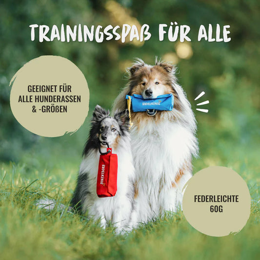 Rudelkönig Futterbeutel für Hunde - Apportierdummy