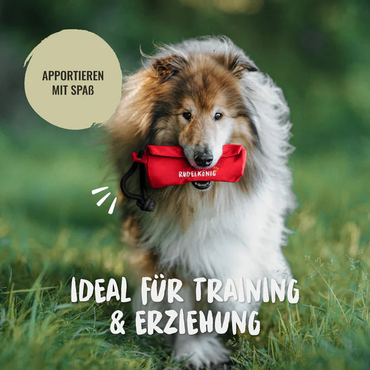 Rudelkönig Futterbeutel für Hunde - Apportierdummy