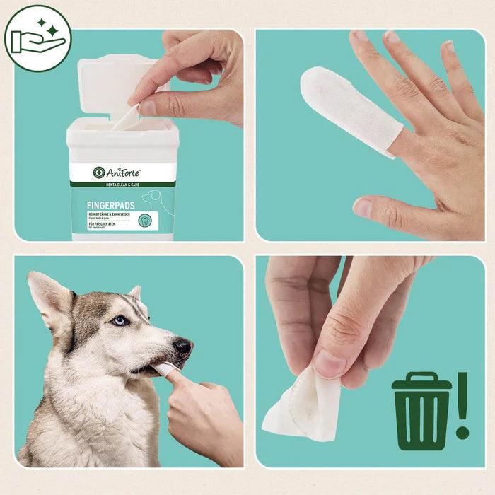 AniForte® Denta Clean & Care Fingerpads