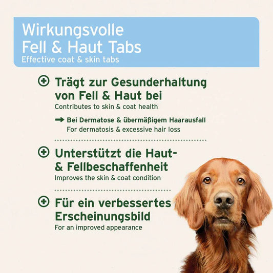 AniForte® plus Fell und Haut, 90 Tabletten