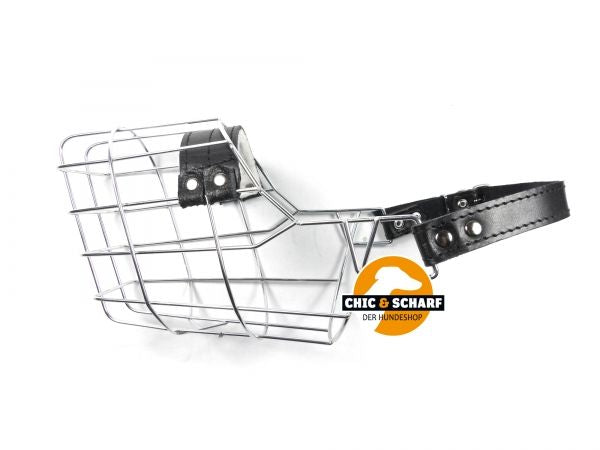 SF Drahtmaulkorb verzinkt Border Collie Rüde