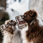 Unimon© Maulkorb Australian Shepherd Maulkorb verzinkt