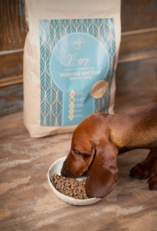 mÿ Trockenfutter Puppy mit Weiderind und Ente 10 kg