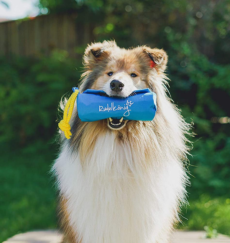 Rudelkönig Futterbeutel für Hunde - Apportierdummy – Dogcircle Online-Shop