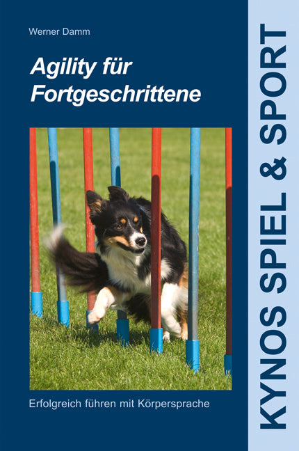 Agility für Fortgeschrittene