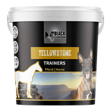 Black Canyon Trainers Yellowstone | Pferd