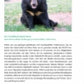 Mehrhundehaltung