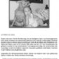 Das Aggressionsverhalten des Hundes